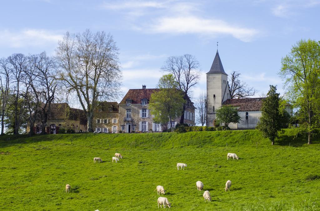 Chateau D'Orion ภายนอก รูปภาพ